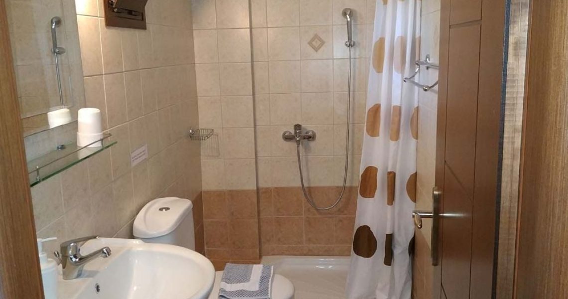 StMeSt-brownapt-toil-douche