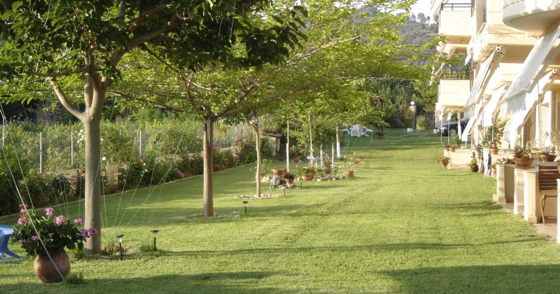 yard
